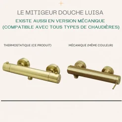 Mitigeur douche thermostatique Or brossé Essebagno Luisa