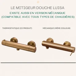 Mitigeur douche thermostatique cuivre brossé Essebagno Luisa
