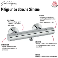Mitigeur douche thermostatique JACOB DELAFON Simone chrome + nettoyant
