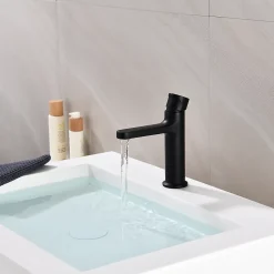 Mitigeur pour lavabo et vasque BERNSTEIN 8211 - Noir mat