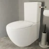 Pack WC à poser avec cuvette, abattant et réservoir, GoodHome Kentia