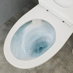 Pack WC à poser avec cuvette, abattant et réservoir, GoodHome Kentia