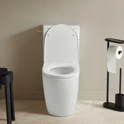 Pack wc à poser caréné sans bride vortex sortie horizontale vario Vicky