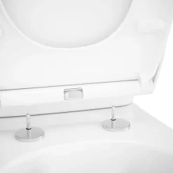 Pack WC à poser sans bride avec abattant déclipsable et frein de chute, sortie verticale, NF, GoodHome Tasi