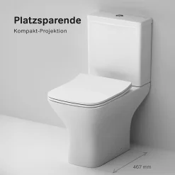 Pack WC à poser sortie horizontale sans bride, Gem, avec couvercle de siège Softclosing, FlashClean, CGA8601PSC Blanc AM.PM