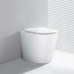 PACK WC EN PORCELAINE WALL HUNG - SUR PIEDS BLANC