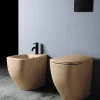 Paire De Toilettes À Bidet Et À Chasse D'eau En Céramique Sable Mat