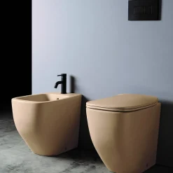 Paire De Toilettes À Bidet Et À Chasse D'eau En Céramique Sable Mat