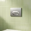 Plaque de chasse d'eau chrome mat GoodHome