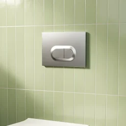 Plaque de chasse d'eau chrome mat GoodHome