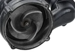 Pompe WQD 550W Avec Broyeur Pour Eaux Sales Noire Robuste