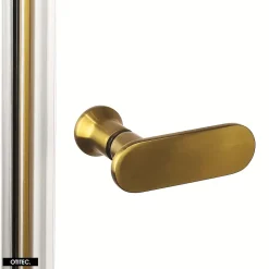 Porte de Douche Encastrée Pivotante - 160 x 195 - OR BROSSÉ - NEW SOLEO
