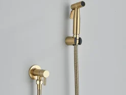 Robinet bidet Doré en Acier Inox Murale Trou Unique