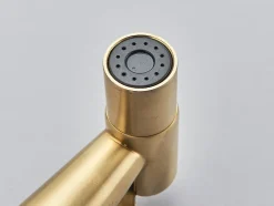 Robinet bidet Doré en Acier Inox Murale Trou Unique