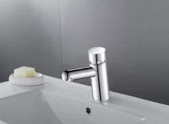 Robinet de lave-mains eau froide chromé Edouard Rousseau Temporise push
