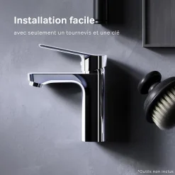 Robinet Salle de Bain Mitigeur de lavabo, Chromé, Hit taille M, FTA02200 AM.PM