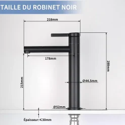 Robinet Salle de Bain Noir Mitigeur pour Vasque Haut Bec Pivotant Robinetterie de Lavabo en Acier Inox Design Moderne