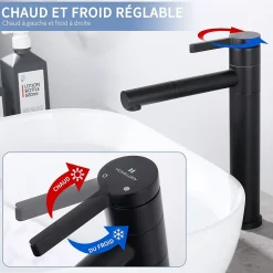 Robinet Salle de Bain Noir Mitigeur pour Vasque Haut Bec Pivotant Robinetterie de Lavabo en Acier Inox Design Moderne