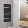 Sèche-serviettes électrique asymétrique Deltacalor 750W noir 7.5m²