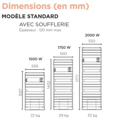 Sèche-serviettes Riviera 2 avec soufflerie 2000W noir carbone - THERMOR - 498629