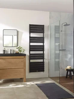 Sèche-serviettes Riviera 2 eau chaude 495W noir carbone - THERMOR - 496107