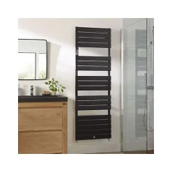 Sèche-serviettes Riviera 2 eau chaude 495W noir carbone - THERMOR - 496107