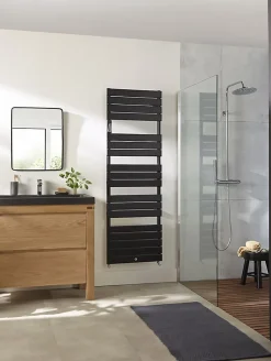 Sèche-serviettes Riviera 2 eau chaude 960W blanc brillant - THERMOR - 498115