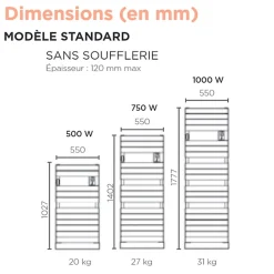 Sèche-serviettes Riviera 2 750W noir carbone - THERMOR - 497536