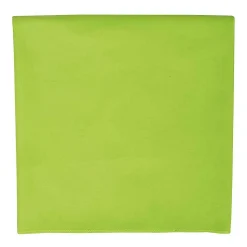 SOLS - Serviette ATOLL Vert pomme (Taille unique)