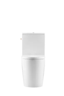 Swiss Aqua Technologies Brevis WC à poser sans bride + abattant softclose (SATBRE031RREXVP)