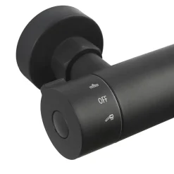 Swiss Aqua Technologies Colonne de douche XXL 250 avec mitigeur thermostatique, Douchette 3 jets, noir mat (SATSSTKEC)