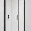 Swiss Aqua Technologies Fusion ensemble porte pivotante /paroi 100x80cm anticalcaire avec profilés noir mat (SATFUD100S80C)