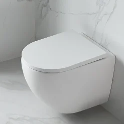 Swiss Aqua Technologies WC suspendu sans bride Tornado Quiet et fixations invisibles, abattant frein de chute (SAT67010RTORP)