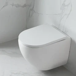 Swiss Aqua Technologies WC suspendu sans bride et fixations invisibles, abattant frein de chute (SAT67010RREXP)