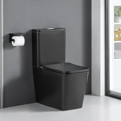 Toilette WC à poser BRAGADO en ceramique noir mat