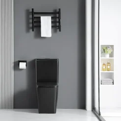 Toilette WC à poser BRAGADO en ceramique noir mat