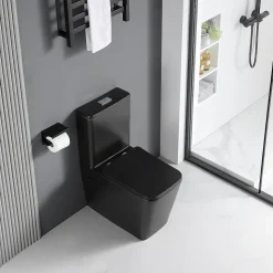 Toilette WC à poser BRAGADO en ceramique noir mat