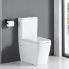 Toilette WC à poser BRAGADO en ceramique