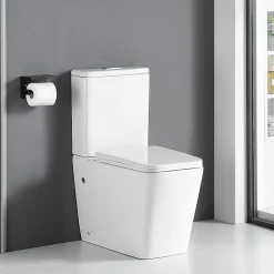 Toilette WC à poser BRAGADO en ceramique