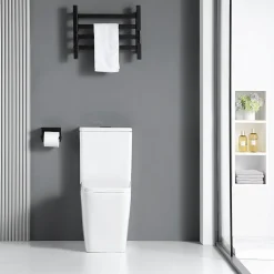 Toilette WC à poser BRAGADO en ceramique