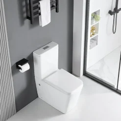 Toilette WC à poser BRAGADO en ceramique