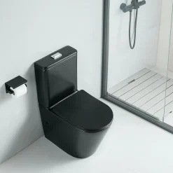 Toilette WC à poser CIPOLI en ceramique noir mat