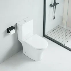 Toilette WC à poser CLORINDA en ceramique