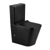 Toilette WC à poser PISA en ceramique noir mat