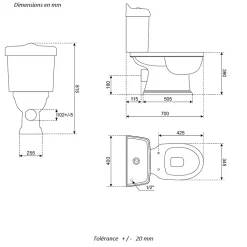 Toilette WC à poser retro ABERY en ceramique