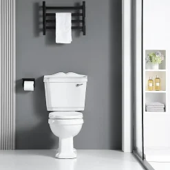 Toilette WC à poser retro CHERY en ceramique