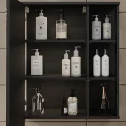 Vicco Armoire de toilette Anthracite/blanc 60x75cm