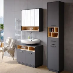 Vicco Armoire de toilette Anthracite 80x72cm