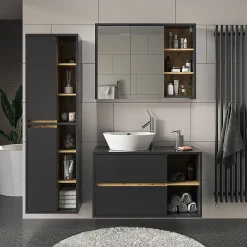 Vicco Meuble salle de bain Anthracite 50x170cm avec portes, et compartiments ouverts