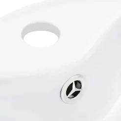 vidaXL Lavabo avec Trop-Plein Lave-Mains Vasque à Poser Monter Salle de Bain Intérieur Salle d'Eau Cabine de Toilette Maison 14391